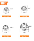 Top Drawer 304 Stainless Steel Flange Nuts Assortment Kit 38 Piece Set Loaded With Serrated Hex Lock Nuts In Four Sizes dimensions displayed.