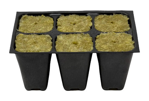 Ultimate Seed Starter Tray Kit With 720 Cells Across 120 Trays Six Cells Per Tray And Plant Stakes Reusable Durable Grow Tray