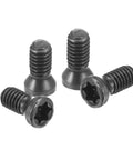 Badass M2.5 Torx Screws delivering twenty pieces of drop dead tough 12.9 alloy steel fasteners, showing four screws.