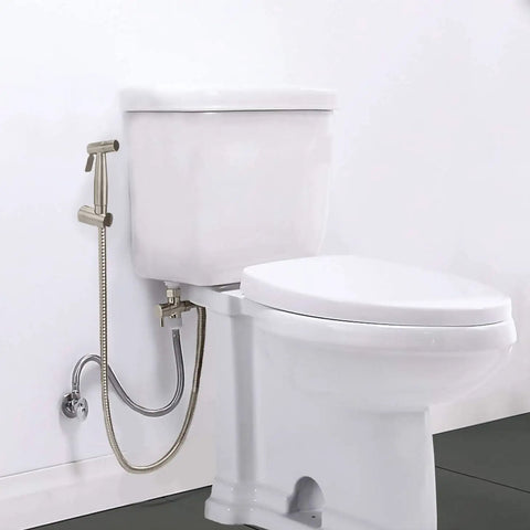 Stainless Steel Handheld Bidet Sprayer Set With 60 Inch Hose, Adjustable Water Pressure, installed on toilet tank, wall mount holder
