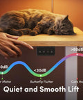 Fezibo Electric Height Adjustable Standing Desk 48 X 24 Inches with hand pressing controls and cat resting on maple surface.