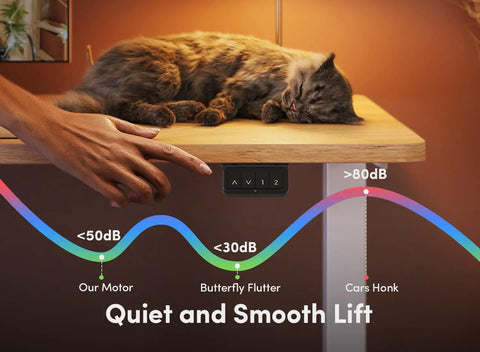 Fezibo Electric Height Adjustable Standing Desk 48 X 24 Inches with hand pressing controls and cat resting on maple surface.