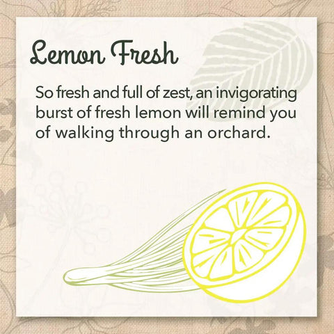 Illustration of lemon slice with text 'Lemon Fresh' highlighting scent for Natural Multi Purpose Cleaner And Wood Polish