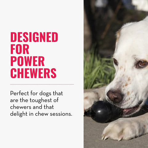Extreme Goodie Bone Built Tough For Power Chewers Durable Natural Rubber Black For Large Dogs Great For Chew Sessions And Mental Stimulation That Lasts Longer Than Ordinary Toys. Dog chewing black natural rubber bone