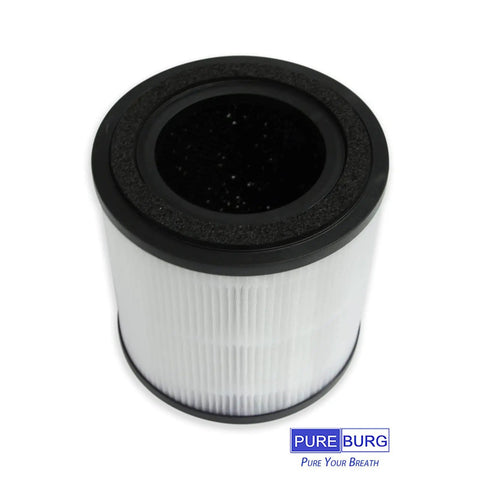 Replacement Filter Pack For Bissell MYair Plus And MYair HUB Purifiers 2905A 3179A 3389 H13 True HEPA With Activated Carbon