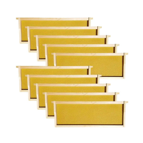 Medium 10 Frame Wax Dipped Fir Wood Langstroth Honey Super With Dovetail Joints Ready To Use Durable Weather Resistant Beehive Box