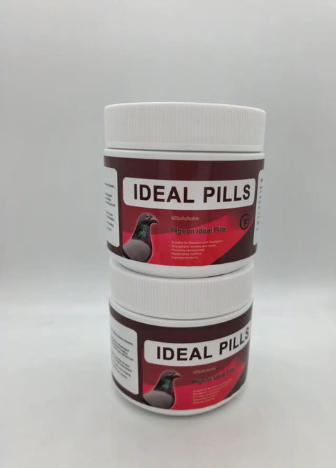 Plant Based Pigeon Health Tablets For Palomas Breeding And Recovery Safe Herbal Pills 600 Count Bottle