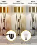 Tall Floor Lamp With Shelves And Gold Shade, Standing Reading Light For Living Room And Bedroom, modern pole under different light settings