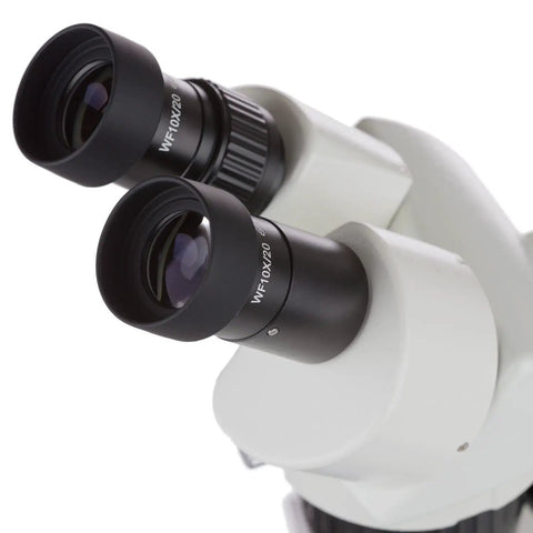 SWDG-2B13 10X-30X Super Widefield Pillar Stand Stereo Microscope With Large Field Of View And Long Working Distance Dual Halogen Illumination For Incident And Transmitted Lighting For Crisp Upright 3D Imaging In Lab Classroom And Hobby Use, close-up of binocular eyepieces