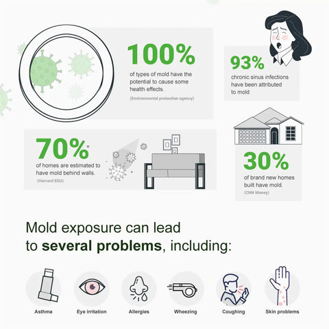 Infographic on mold risks related to DIY Air and Surface Mold Test Kit for Home Use With Prepaid Return Mailer and Expert Consultation