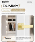 Ten Pack Gold Door Knobs And Dummy Door Handles For Closets And French Doors, non-turning dummy handle close-up in satin brass.