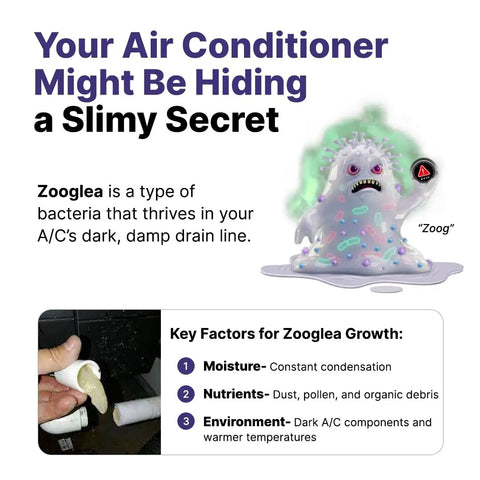 Diagram showing bacteria buildup in AC drain; highlights Smart AC Drain Line Cleaner Cartridge With Bio Enzymatic Formula role.
