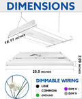 High Bay LED Light 21735LM 161W 2FT 5000K with dimensions and dimmable wiring details for warehouses and shops