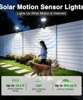Young girl walking a dog by flowers at night with Heavy Duty Solar Motion Lights Clip On For Fence Deck And Gutter 92 Led Security Spotlight.