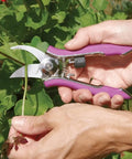 Person using ColorPoint Stainless Steel Compact Pruning Shears With Quarter Inch Cutting Capacity on garden stems