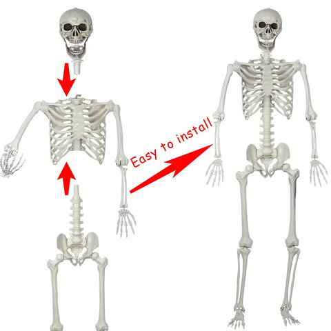 5.4Ft Life Size Halloween Skeleton With Movable Joints, Realistic Poseable Bones For Indoor Outdoor Haunt Decor assembly view