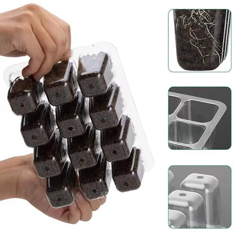 Close-up of Three Pack Garden Propagator Germination Set with Adjustable Humidity Dome showing 12-cell trays and root growth.