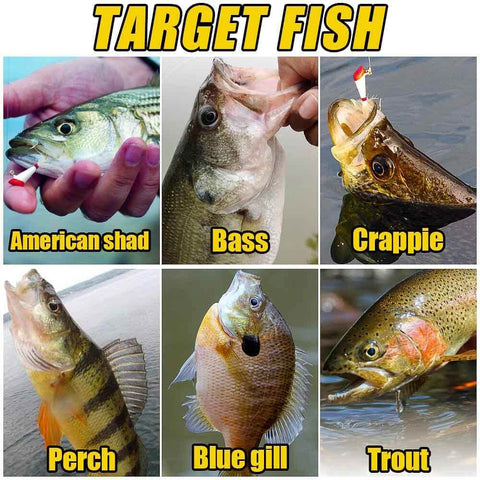 Target fish species: American shad, bass, crappie, perch, blue gill, trout.