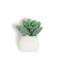 Single green succulent push pin from Succulent Push Pins Set for Bulletin Boards with Three Assorted Styles, Nine Count