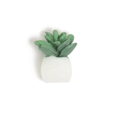 Single green succulent push pin from Succulent Push Pins Set for Bulletin Boards with Three Assorted Styles, Nine Count