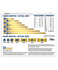 Size chart of Thick Natural Crepe Rubber Bands Size 64 Three And A Half Inches By One Quarter Inch Bulk Box Of Eighty In A One Quarter Pound Box