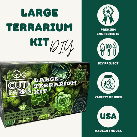 Box of Terrarium Starter Kit With Moss, Soil, Vermiculite, Pebbles, Plant Food, Finishing Tools, DIY guide for succulent terrariums