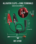 Image showing alligator clips and ring terminals with dimensions for 800 Milliampere SuperSmart Battery Charger And Maintainer.