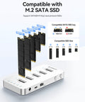 Built Different Five Bay M.2 NVMe SATA SSD Docking Station showcasing compatible M.2 SSD sizes and docking ports.