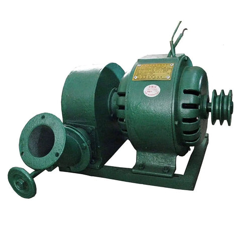 1000W Water Turbine Generator For Creek And Micro Hydro Horizontal Outdoor Hydroelectric Power Generator Off Grid 220V 1KW Output 10 To 25 M Head 500 To 1500 RPM Rugged Cast Iron visible in green cast iron housing with two attached components.