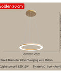 Golden Circle Pendant Light, 20 cm diameter, made of iron and acrylic, ideal for modern home design lighting indoor.