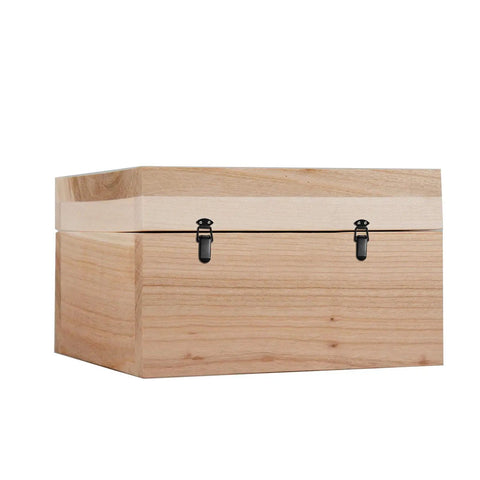 12 Pack Spring Toggle Latch 1.8 Inch Durable 304 Stainless Steel Black Spring Loaded Catch on Wooden Case