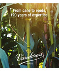 Field of cane plants with Vandoren logo and text 'From cane to reeds, 120 years of expertise' promoting reed quality.