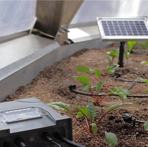 Solar Powered Automatic Drip Irrigation System with 50 Drippers and 155 Feet of Tubing installed in a raised bed garden