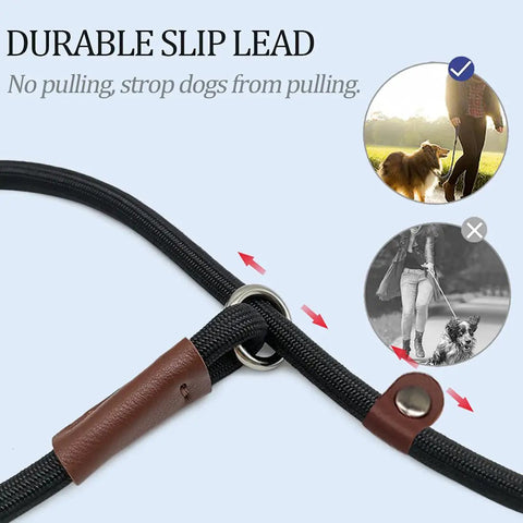 Durable slip lead no pull slip lead for dogs 7 ft rope leash 1/4 inch width 2 in 1 leash and collar for small to medium dogs