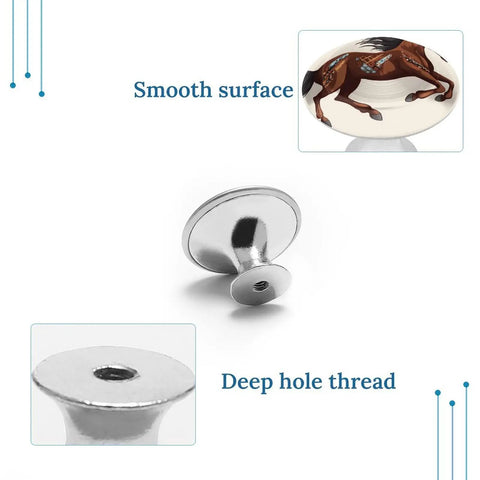 Two Pack Brown Horse Round Stainless Steel Cabinet Knobs with smooth surface and deep hole thread shown in detail