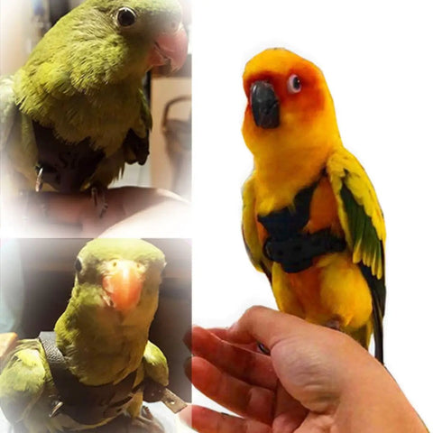 Parrot Flight Harness Vest With Leash For Outdoor Training worn by parakeets and conures, anti bite rope handle, secure fit