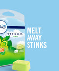 Wax Melts Air Freshener With Gain Original Scent Pack Of 8 That Fights Odors And Releases Fresh Long Lasting Scent in Any Room