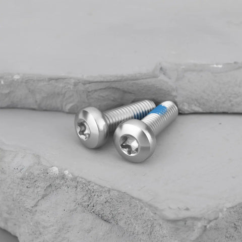 Two bolts from 12 Pack M5X16mm Bike Disc Rotor Bolts With T25 Torx Head For Disc Brake Rotors, Rust Resistant 304 Stainless Steel
