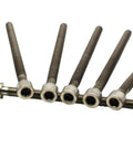 Badass Raw Titanium Hex Socket Bolts Beefy M6 M8 M10 Ta2 Grade Fasteners shown in pack of five, ideal for motorcycle frame and brake installations.