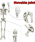 5.4Ft Life Size Halloween Skeleton With Movable Joints For Indoor Outdoor Setup Weather Resistant Full Body Prop in detail