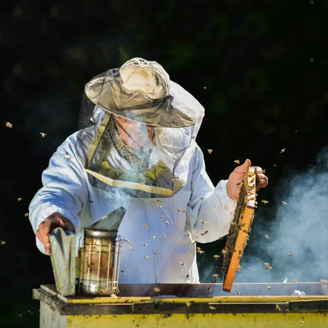 Beekeeper using Beekeeping Bee Smoker Stainless Steel With Heat Shield 11 Inch Mounting Hook Includes 54 Plant Based Smoker Pellets