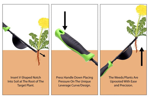Heavy Duty Weeding Tool With Lever Design Weed Puller in action showing V-shaped fork, ergonomic no-slip grip, uprooting weeds.