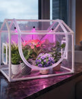 Indoor Mini Greenhouse Kit With Adjustable Led Grow Light And Timer Tabletop Garden Starter For Beginners displayed on a windowsill