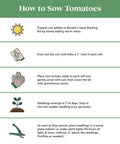 Infographic on how to sow tomatoes with step-by-step instructions and illustrations for planting in a seed starting kit.