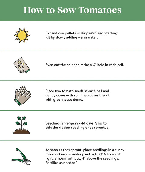Infographic on how to sow tomatoes with step-by-step instructions and illustrations for planting in a seed starting kit.