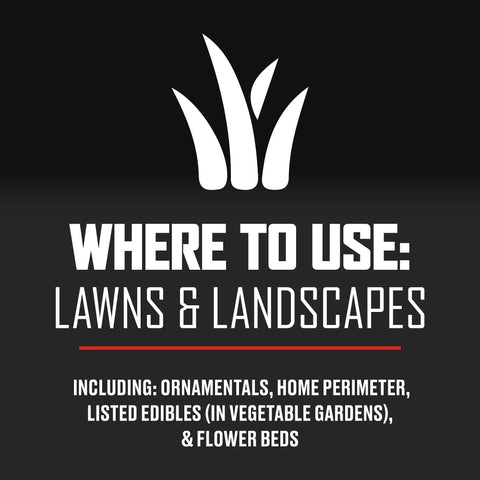 Long Lasting Lawn Insect Killer Granules Kills Ants Spiders Ticks Fleas And Grubs Quick Acting Bug Barrier Treats graphic with text
