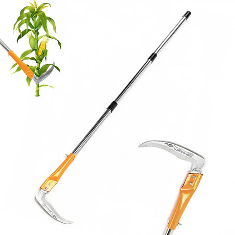 Adjustable Long Handled Weeding Sickle With High Carbon Steel Blade cutting corn stalk, close-up of extended upright scythe