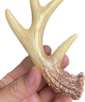 Close-up of hand holding Antler Inspired Resin Cabinet Knobs Set Of 6 With Deer Horn Design, showcasing hand-painted resin finish.