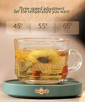 Smart Electric Coffee Mug Warmer Triple Temperature Settings Digital Display with herbal tea cup on compact base.