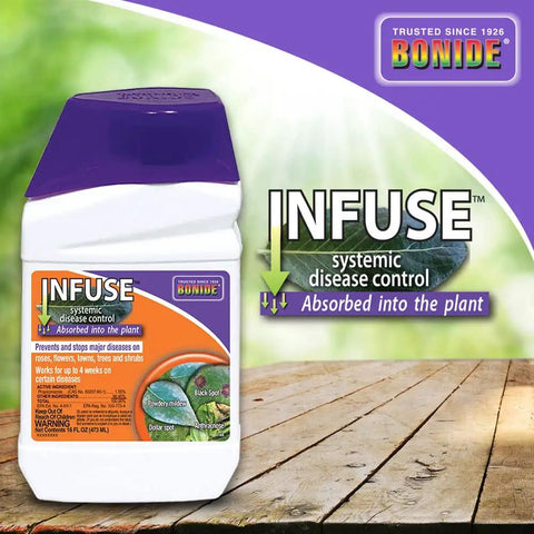 Infuse Systemic Disease Control Concentrate For Lawn And Ornamentals Broad Spectrum Fungicide bottle on wooden surface